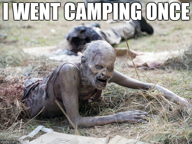 The Walking Dead Crawling Zombie | I WENT CAMPING ONCE | image tagged in the walking dead crawling zombie | made w/ Imgflip meme maker