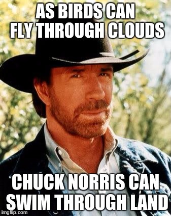 Chuck Norris Meme | AS BIRDS CAN FLY THROUGH CLOUDS; CHUCK NORRIS CAN SWIM THROUGH LAND | image tagged in memes,chuck norris | made w/ Imgflip meme maker