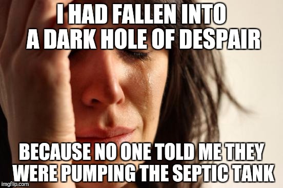 First World Problems Meme | I HAD FALLEN INTO A DARK HOLE OF DESPAIR; BECAUSE NO ONE TOLD ME THEY WERE PUMPING THE SEPTIC TANK | image tagged in memes,first world problems | made w/ Imgflip meme maker