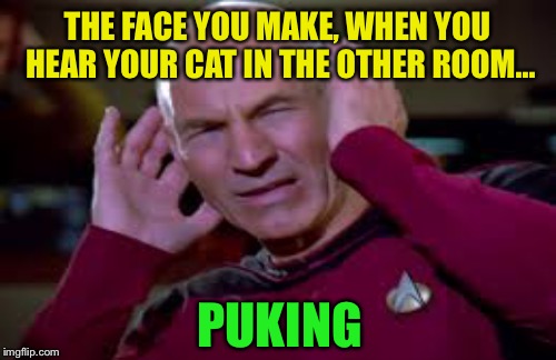 Cats are disgusting! | THE FACE YOU MAKE, WHEN YOU HEAR YOUR CAT IN THE OTHER ROOM... PUKING | image tagged in memes,cats,puking | made w/ Imgflip meme maker