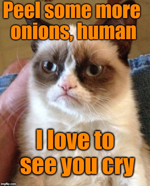Grumpy Cat Meme | Peel some more onions, human; I love to see you cry | image tagged in memes,grumpy cat | made w/ Imgflip meme maker