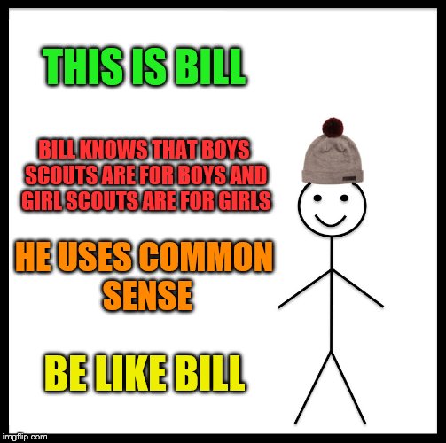 Oops, I forgot, society today lacks common sense. Sorry. | THIS IS BILL; BILL KNOWS THAT BOYS SCOUTS ARE FOR BOYS AND GIRL SCOUTS ARE FOR GIRLS; HE USES COMMON SENSE; BE LIKE BILL | image tagged in memes,be like bill | made w/ Imgflip meme maker