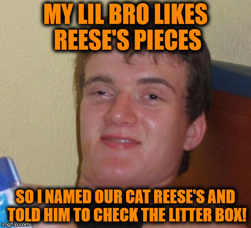 Savage AF Older Brother | MY LIL BRO LIKES REESE'S PIECES; SO I NAMED OUR CAT REESE'S AND TOLD HIM TO CHECK THE LITTER BOX! | image tagged in memes,10 guy,savage,reese's,funny | made w/ Imgflip meme maker