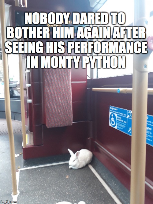what I'm wondering is how the blood was cleaned off the rabbit | NOBODY DARED TO BOTHER HIM AGAIN AFTER SEEING HIS PERFORMANCE IN MONTY PYTHON | image tagged in monty python,rabbit,killer,one does not simply,well that escalated quickly | made w/ Imgflip meme maker