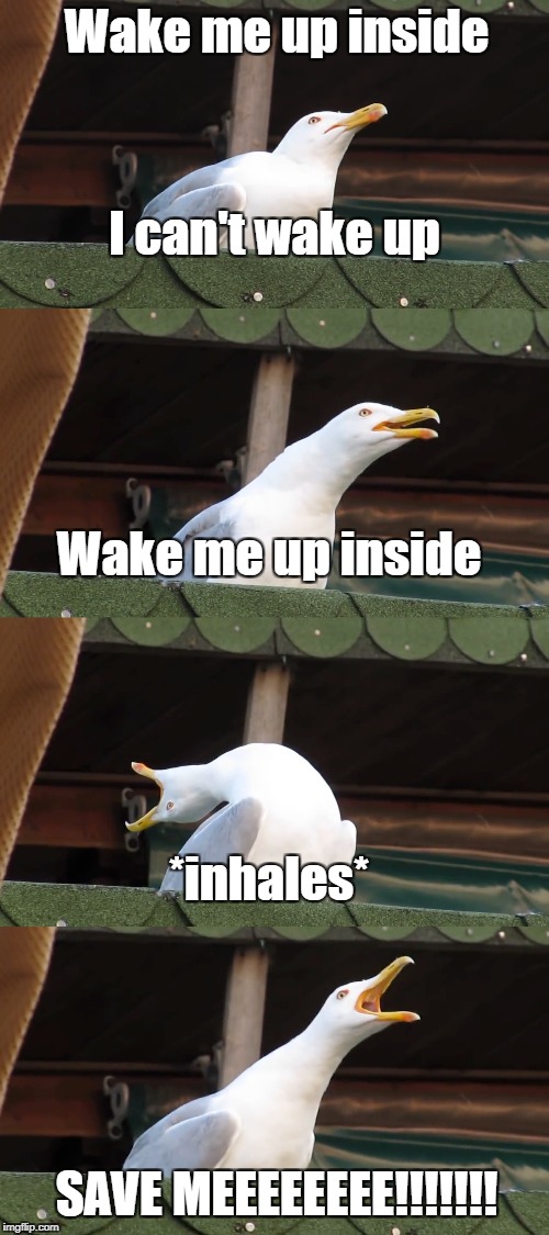Wake me up inside; I can't wake up; Wake me up inside; *inhales*; SAVE MEEEEEEEE!!!!!!! | image tagged in evanescence,wake me up inside,save me,bring me to life,amy lee,inhaling seagull | made w/ Imgflip meme maker