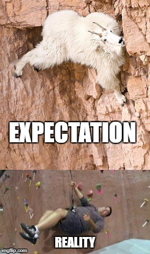 EXPECTATION; REALITY | image tagged in climbing | made w/ Imgflip meme maker