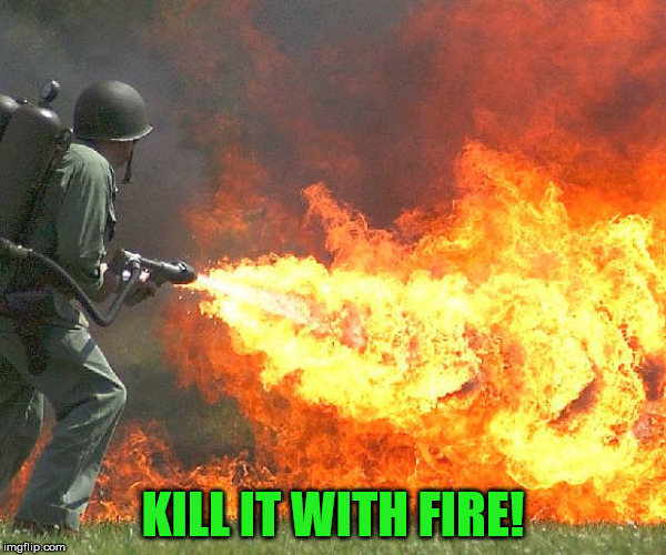 Flamethrower | KILL IT WITH FIRE! | image tagged in flamethrower | made w/ Imgflip meme maker