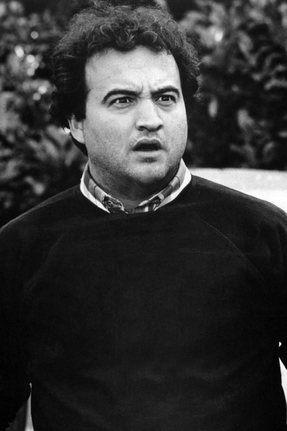 Animal House Blank Blank Meme Template