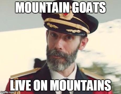 Captain Obvious | MOUNTAIN GOATS; LIVE ON MOUNTAINS | image tagged in captain obvious | made w/ Imgflip meme maker