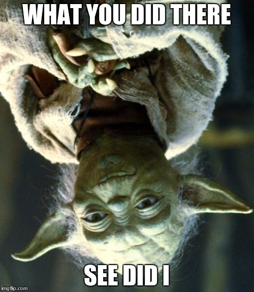Star Wars Yoda Meme | WHAT YOU DID THERE SEE DID I | image tagged in memes,star wars yoda | made w/ Imgflip meme maker