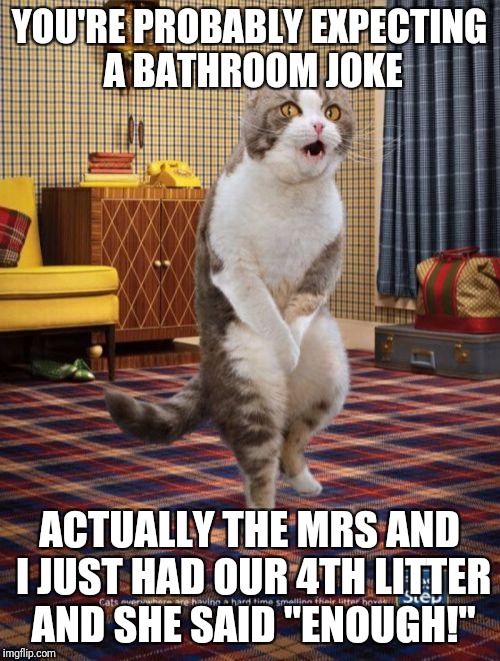 Gotta Go Cat Meme | YOU'RE PROBABLY EXPECTING A BATHROOM JOKE; ACTUALLY THE MRS AND I JUST HAD OUR 4TH LITTER AND SHE SAID "ENOUGH!" | image tagged in memes,gotta go cat | made w/ Imgflip meme maker