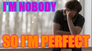 I'M NOBODY SO I'M PERFECT | made w/ Imgflip meme maker