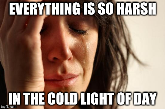 First World Problems Meme | EVERYTHING IS SO HARSH IN THE COLD LIGHT OF DAY | image tagged in memes,first world problems | made w/ Imgflip meme maker