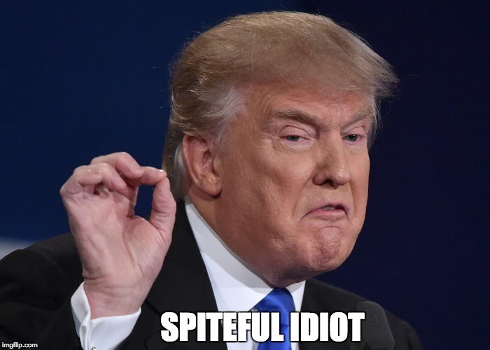 Trump: No Rhyme or Reason | SPITEFUL IDIOT | image tagged in daca obamacare iran deal | made w/ Imgflip meme maker