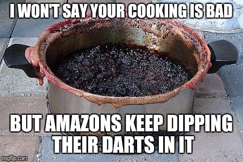 Burned food | I WON'T SAY YOUR COOKING IS BAD; BUT AMAZONS KEEP DIPPING THEIR DARTS IN IT | image tagged in burned food | made w/ Imgflip meme maker