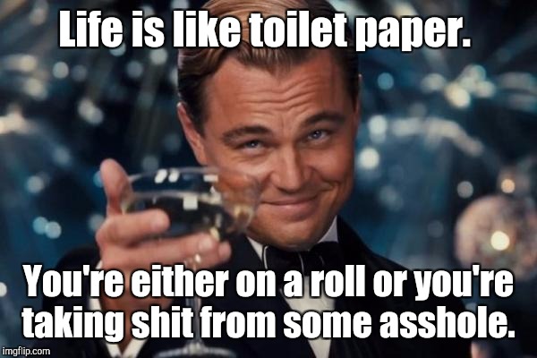 Leonardo Dicaprio Cheers Meme | Life is like toilet paper. You're either on a roll or you're taking shit from some asshole. | image tagged in memes,leonardo dicaprio cheers | made w/ Imgflip meme maker