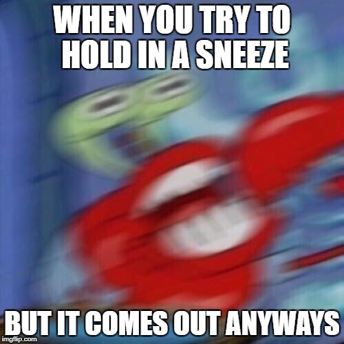 Mr. Krabs Mad  | WHEN YOU TRY TO HOLD IN A SNEEZE; BUT IT COMES OUT ANYWAYS | image tagged in mr krabs mad | made w/ Imgflip meme maker