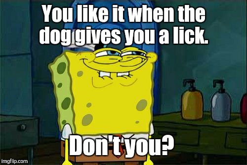 Don't You Squidward Meme | You like it when the dog gives you a lick. Don't you? | image tagged in memes,dont you squidward | made w/ Imgflip meme maker