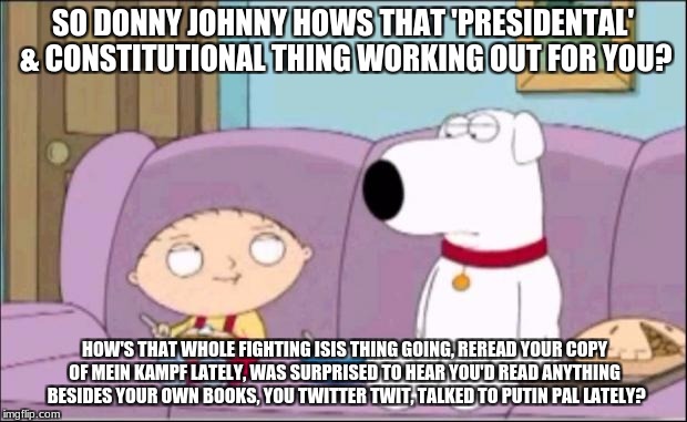 stewie | SO DONNY JOHNNY HOWS THAT 'PRESIDENTAL' & CONSTITUTIONAL THING WORKING OUT FOR YOU? HOW'S THAT WHOLE FIGHTING ISIS THING GOING, REREAD YOUR COPY OF MEIN KAMPF LATELY, WAS SURPRISED TO HEAR YOU'D READ ANYTHING  BESIDES YOUR OWN BOOKS, YOU TWITTER TWIT, TALKED TO PUTIN PAL LATELY? | image tagged in stewie | made w/ Imgflip meme maker