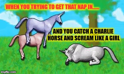 charliehorseOWBRO | WHEN YOU TRYING TO GET THAT NAP IN...... AND YOU CATCH A CHARLIE HORSE AND SCREAM LIKE A GIRL | image tagged in charliehorseowbro | made w/ Imgflip meme maker