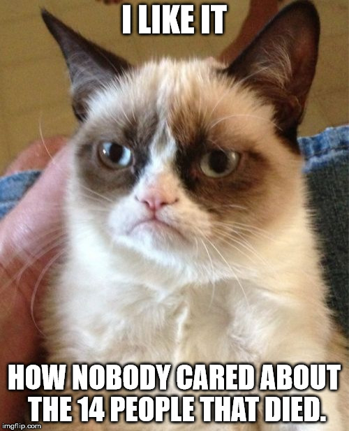 I LIKE IT HOW NOBODY CARED ABOUT THE 14 PEOPLE THAT DIED. | image tagged in memes,grumpy cat | made w/ Imgflip meme maker