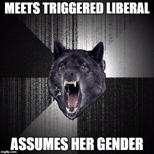 Or should that be "his"? Am I in trouble? | MEETS TRIGGERED LIBERAL; ASSUMES HER GENDER | image tagged in memes,insanity wolf | made w/ Imgflip meme maker