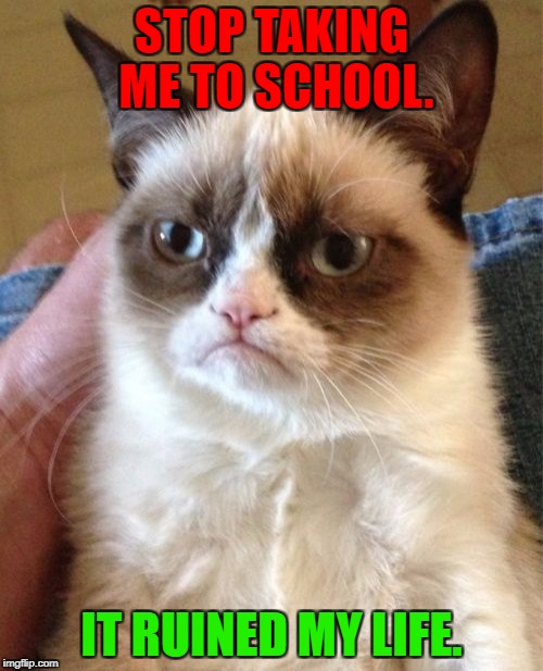 "Stop taking me to school" | STOP TAKING ME TO SCHOOL. IT RUINED MY LIFE. | image tagged in memes,grumpy cat,i hate school | made w/ Imgflip meme maker