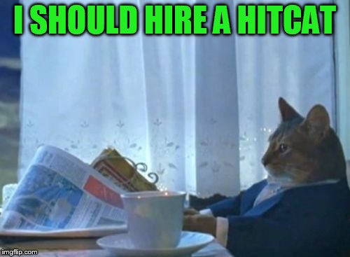 I SHOULD HIRE A HITCAT | made w/ Imgflip meme maker