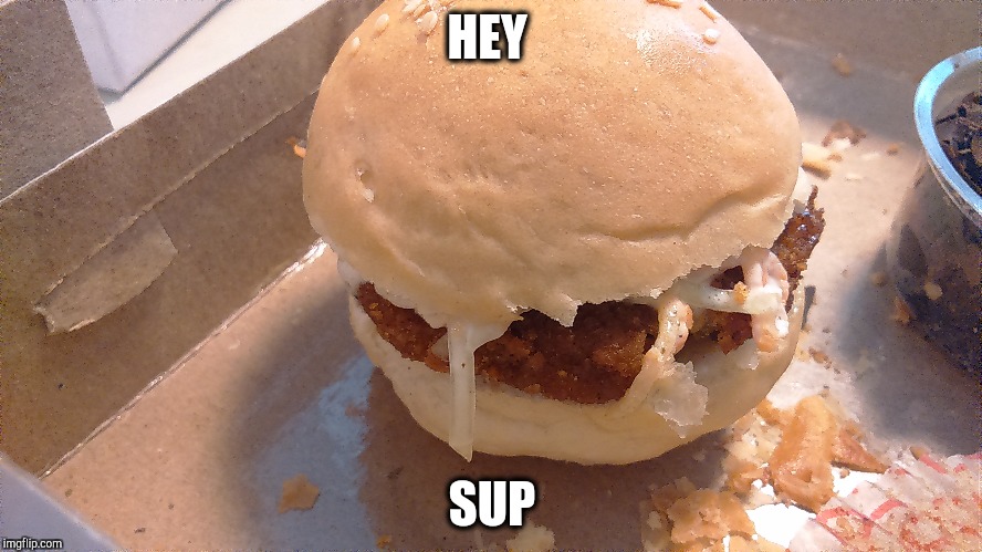 WEIRD BURGER | HEY; SUP | image tagged in burger,edgy,funny memes,meme | made w/ Imgflip meme maker