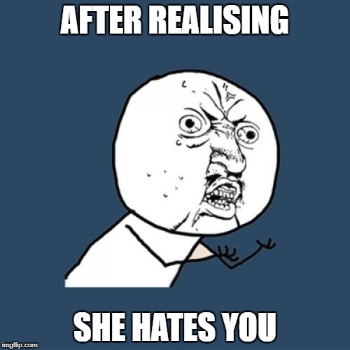 Y U No Meme | AFTER REALISING; SHE HATES YOU | image tagged in memes,y u no | made w/ Imgflip meme maker