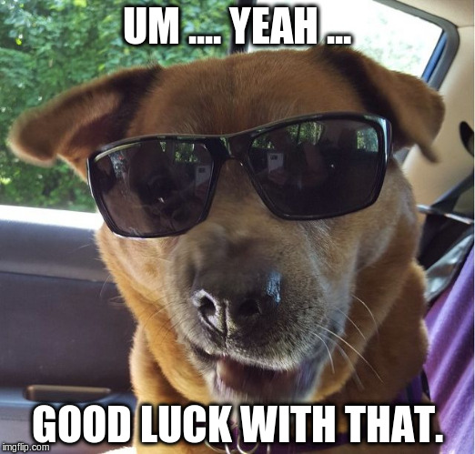 UM .... YEAH ... GOOD LUCK WITH THAT. | image tagged in tango on a road trip | made w/ Imgflip meme maker