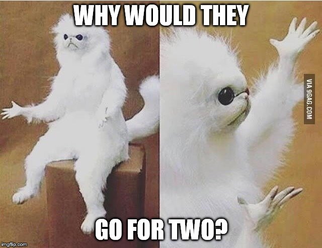 Confused white monkey | WHY WOULD THEY; GO FOR TWO? | image tagged in confused white monkey | made w/ Imgflip meme maker