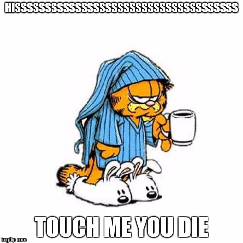 garfield-coffee | HISSSSSSSSSSSSSSSSSSSSSSSSSSSSSSSSSSSSS; TOUCH ME YOU DIE | image tagged in garfield-coffee | made w/ Imgflip meme maker