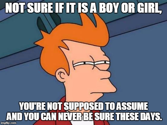 Futurama Fry Meme | NOT SURE IF IT IS A BOY OR GIRL, YOU'RE NOT SUPPOSED TO ASSUME AND YOU CAN NEVER BE SURE THESE DAYS. | image tagged in memes,futurama fry | made w/ Imgflip meme maker