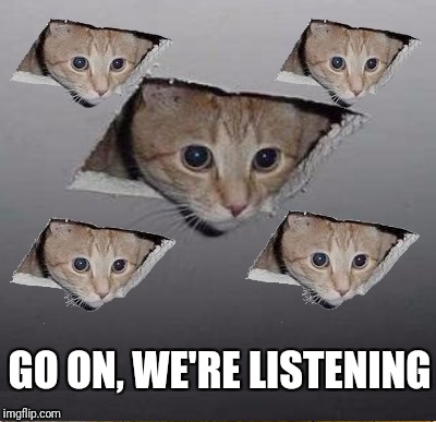 There's more than one up there! | GO ON, WE'RE LISTENING | image tagged in ceiling cat,cats | made w/ Imgflip meme maker