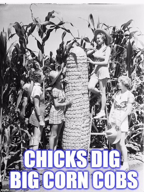 big cob | CHICKS DIG BIG CORN COBS | image tagged in big corn cob,corn,chicks,cornhole | made w/ Imgflip meme maker