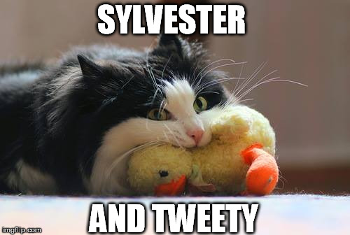 SYLVESTER AND TWEETY | made w/ Imgflip meme maker