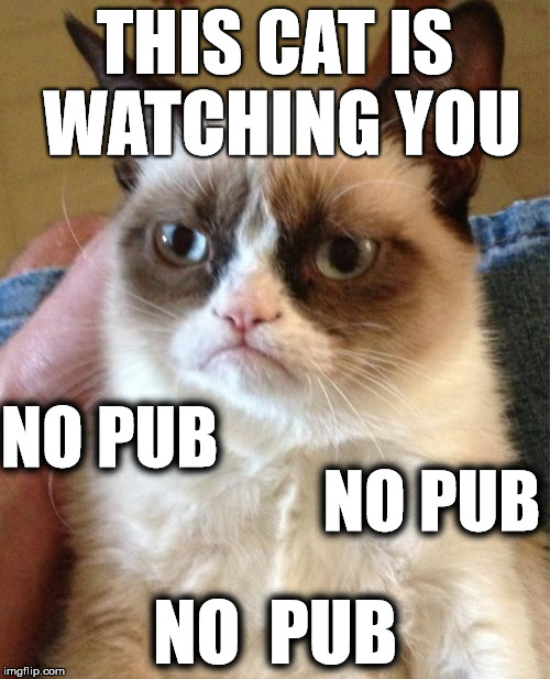 Grumpy Cat Meme | THIS CAT IS WATCHING YOU; NO PUB; NO PUB; NO  PUB | image tagged in memes,grumpy cat | made w/ Imgflip meme maker