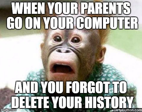 OH SHIT MONKEY | WHEN YOUR PARENTS GO ON YOUR COMPUTER; AND YOU FORGOT TO DELETE YOUR HISTORY | image tagged in oh shit monkey | made w/ Imgflip meme maker