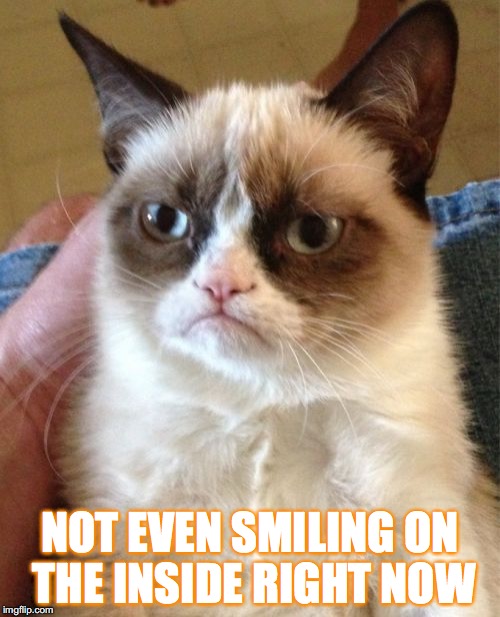 Grumpy Cat | NOT EVEN SMILING ON THE INSIDE RIGHT NOW | image tagged in memes,grumpy cat | made w/ Imgflip meme maker