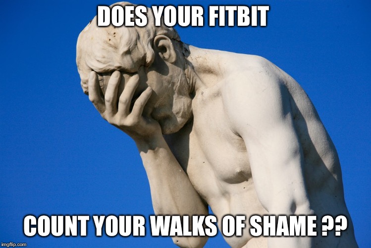 Embarrassed statue  | DOES YOUR FITBIT; COUNT YOUR WALKS OF SHAME ?? | image tagged in embarrassed statue | made w/ Imgflip meme maker