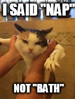 I SAID "NAP"; NOT "BATH" | image tagged in memes | made w/ Imgflip meme maker
