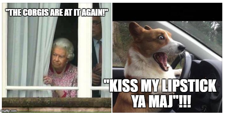 "THE CORGIS ARE AT IT AGAIN!"; "KISS MY LIPSTICK YA MAJ"!!! | image tagged in queen of england | made w/ Imgflip meme maker