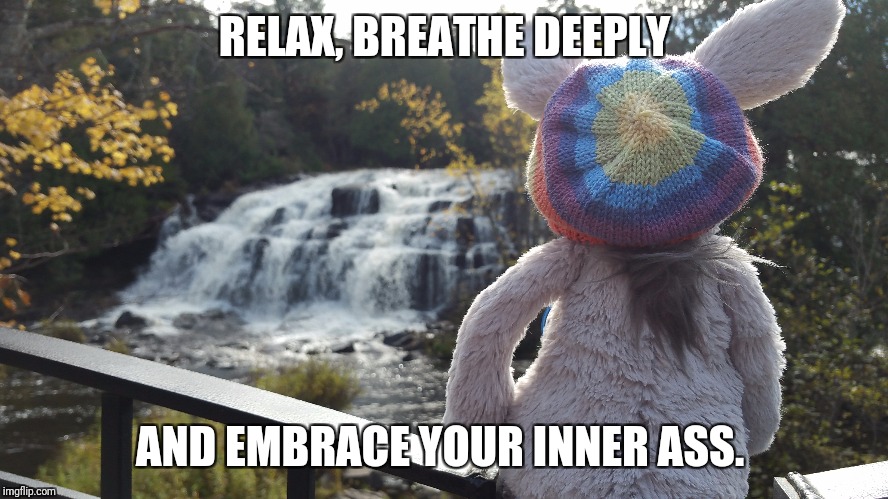Dharma the disheveled democratic donkey | RELAX, BREATHE DEEPLY; AND EMBRACE YOUR INNER ASS. | image tagged in peace,democrats,nature,waterfall,michigan,breathe | made w/ Imgflip meme maker