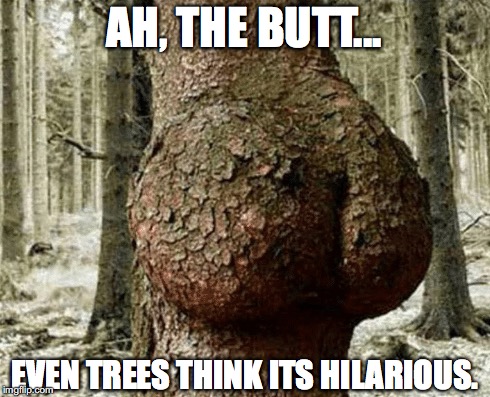 Glucose Maximus | AH, THE BUTT... EVEN TREES THINK ITS HILARIOUS. | image tagged in butt tree | made w/ Imgflip meme maker