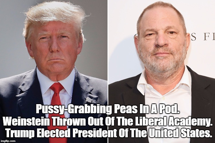 "Two Pussy-Grabbing Peas In A Pod" | Pussy-Grabbing Peas In A Pod. Weinstein Thrown Out Of The Liberal Academy. Trump Elected President Of The United States. | image tagged in deplorable donald,despicable donald,dishonorable donald,devious donald,disreputable donald,dishonest donald | made w/ Imgflip meme maker