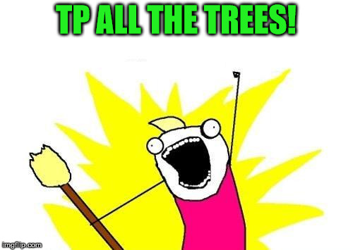 X All The Y Meme | TP ALL THE TREES! | image tagged in memes,x all the y | made w/ Imgflip meme maker