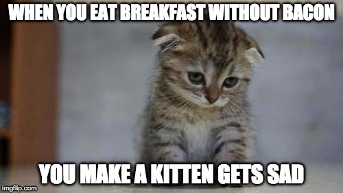 Tired of it all for Depressing Meme Week Oct 11-18 A NeverSayMemes Event | WHEN YOU EAT BREAKFAST WITHOUT BACON; YOU MAKE A KITTEN GETS SAD | image tagged in sad kitten,depressing meme week,neversaymemes,iwanttobebaconcom,iwanttobebacon | made w/ Imgflip meme maker