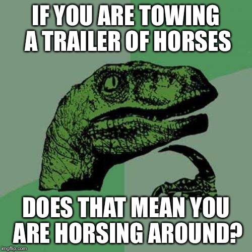 Philosoraptor | IF YOU ARE TOWING A TRAILER OF HORSES; DOES THAT MEAN YOU ARE HORSING AROUND? | image tagged in memes,philosoraptor | made w/ Imgflip meme maker