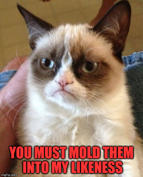 Grumpy Cat Meme | YOU MUST MOLD THEM INTO MY LIKENESS | image tagged in memes,grumpy cat | made w/ Imgflip meme maker